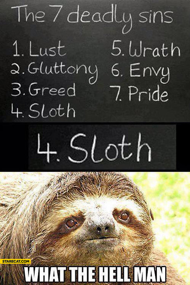 IMG:http://starecat.com/content/wp-content/uploads/7-deadly-sins-sloth-what-the-hell-man.jpg