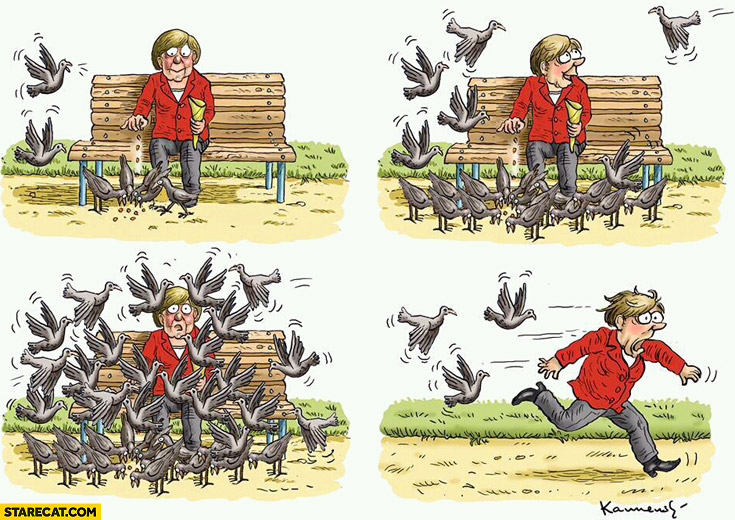 angela-merkel-feeding-pigeons-too-many-running-away.jpg