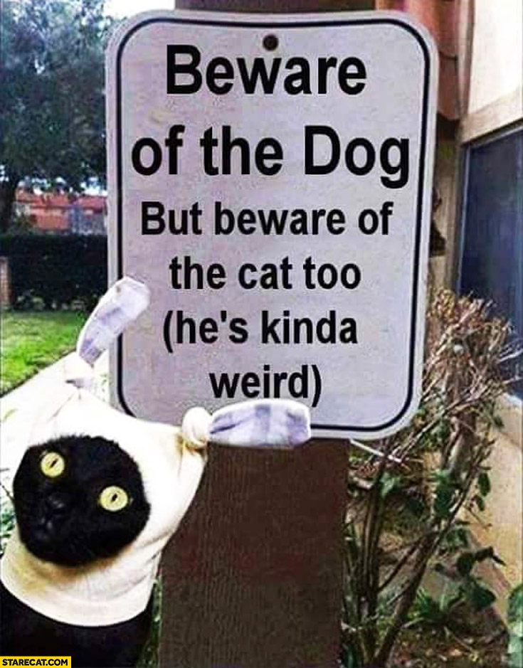 [Image: beware-of-the-dog-but-beware-of-the-cat-...a-wird.jpg]