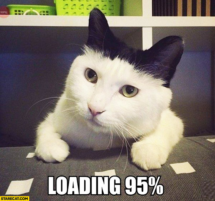 cat-white-black-loading-95-percent.jpg