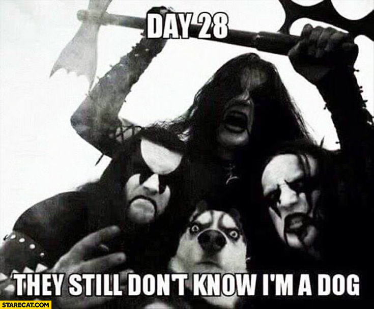 http://starecat.com/content/wp-content/uploads/day-28-they-still-dont-know-im-a-dog-death-metal-band.jpg