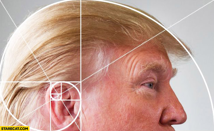 donald-trump-hair-golden-ratio.jpg