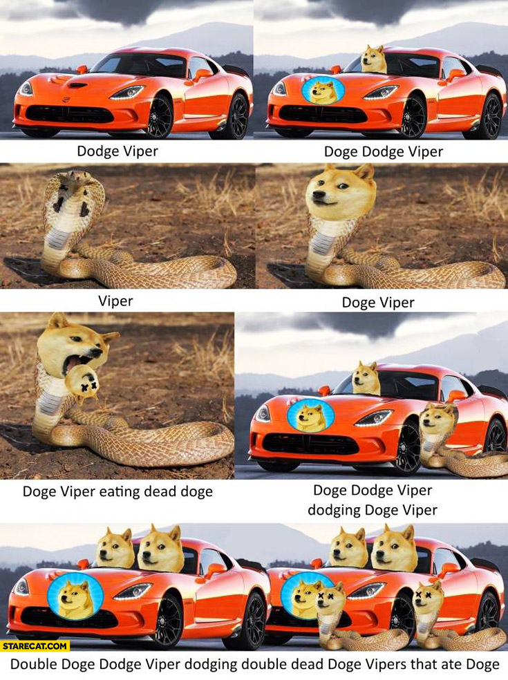 double-doge-dodge-viper-dodging-double-dead-doge-vipers-that-ate-doge.jpg