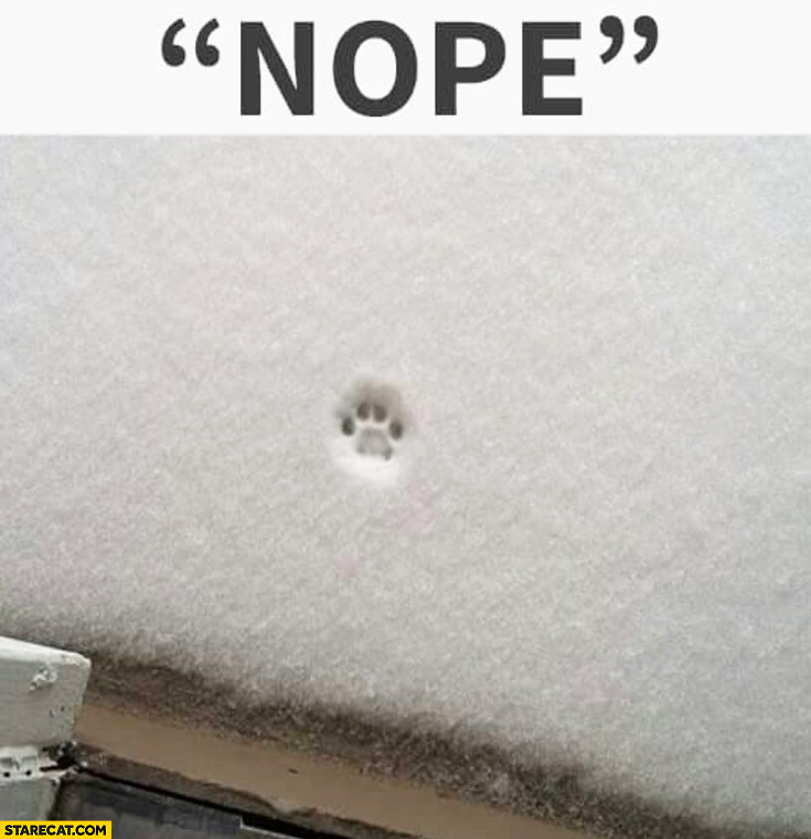 http://starecat.com/content/wp-content/uploads/nope-cat-going-out-snow-paw-mark.jpg