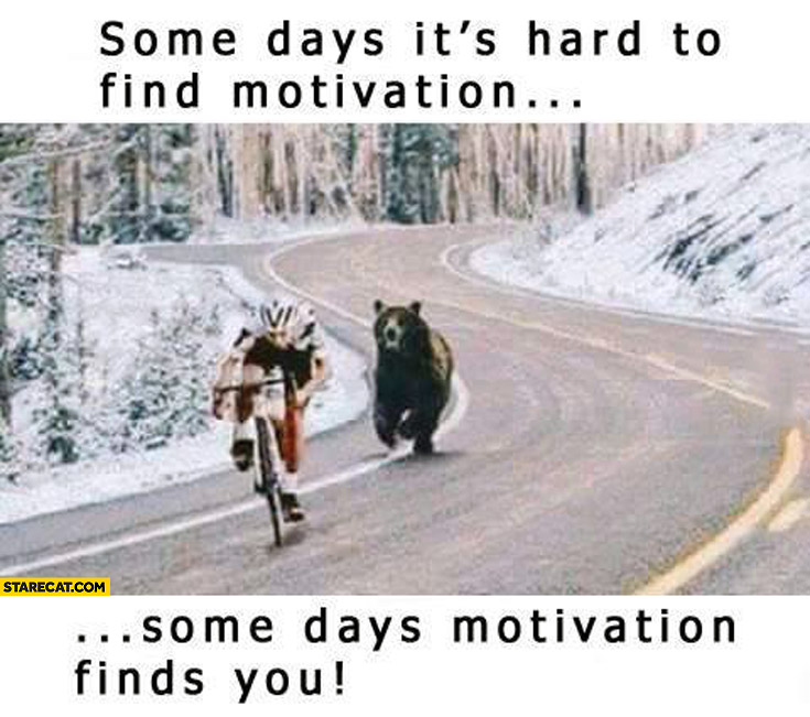 http://starecat.com/content/wp-content/uploads/some-days-its-hard-to-find-motivation-some-days-motivation-finds-you.jpg