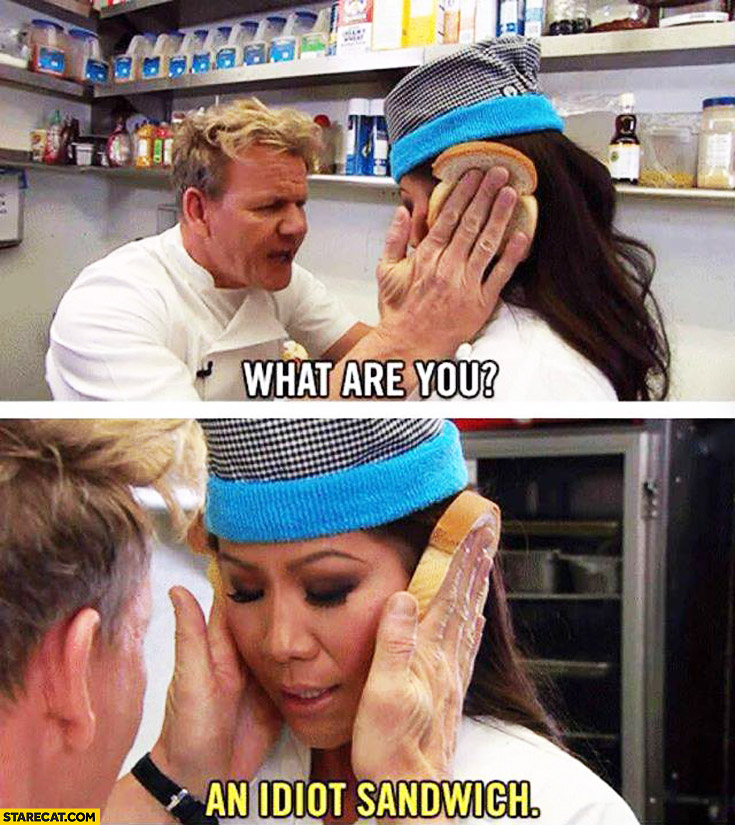 what-are-you-an-idiot-sandwich-gordon-ramsay-hells-kitchen.jpg