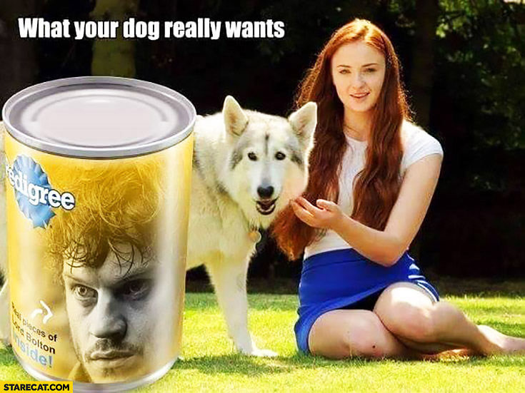 what-your-dog-really-wants-pedigree-ramsay-snow-game-of-thrones.jpg