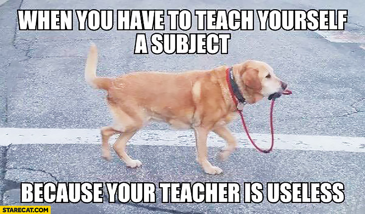[Image: when-you-have-to-teach-yourself-a-subjec...imself.jpg]