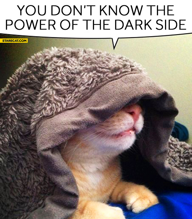 you-dont-know-the-power-of-the-dark-side-cat.jpg
