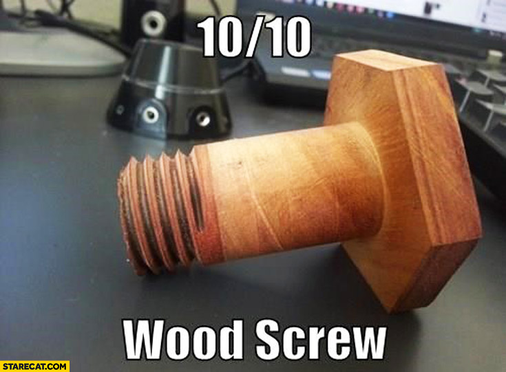 10/10 points Wood screw