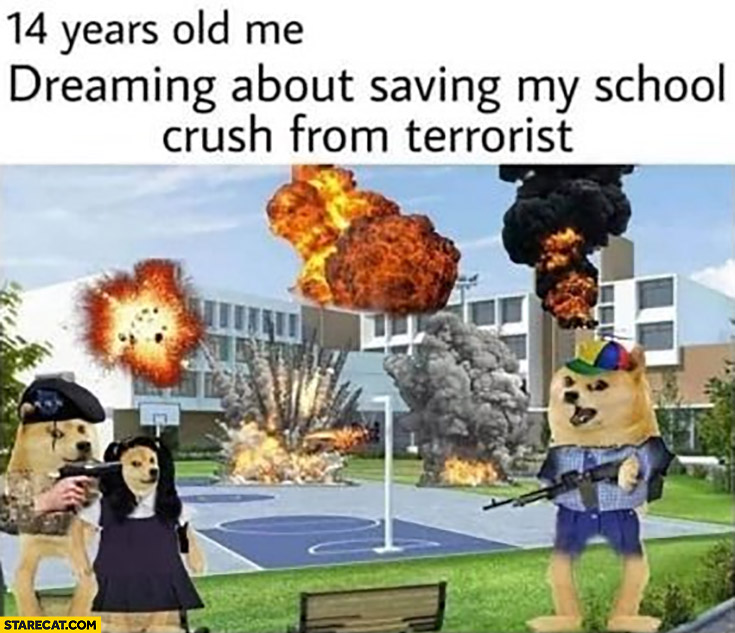 14 years old me dreaming about saving my school crush from terrorist doge