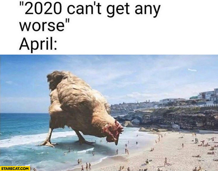 2020 can’t get any worse huge hen attacking people