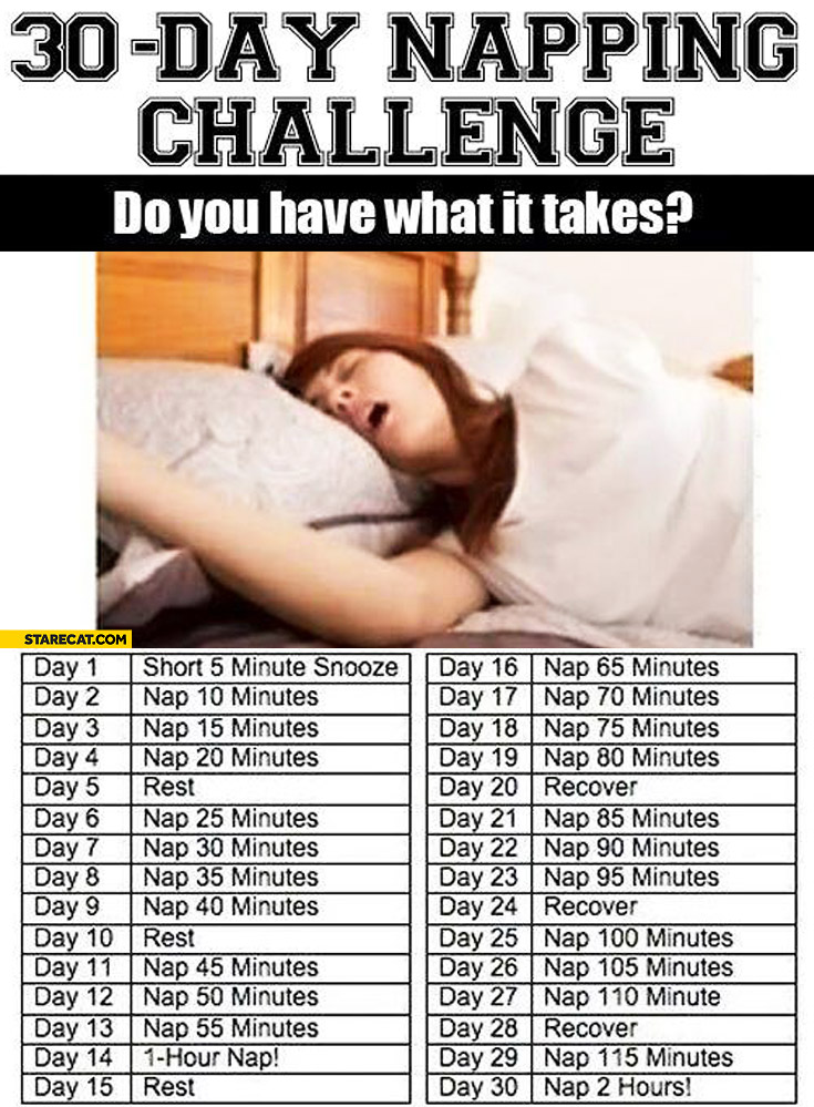 30 day napping challenge do you have what it takes?