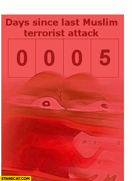 5 days since last muslim terrorist attack furious mad very angry pepe the frog 0005 animated gif