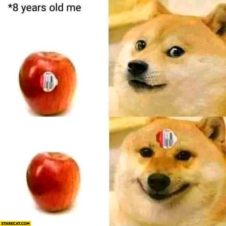 8 years old me apple sticker on forehead dog doge