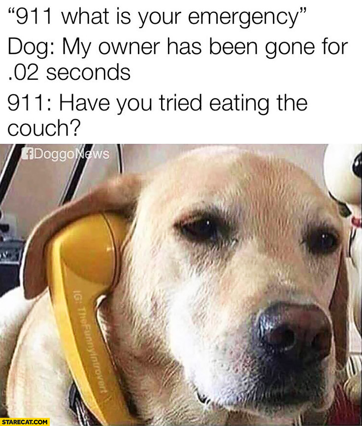 911 dog emergency: my owner has been gone for 0.2 seconds, have you tried eating the couch?