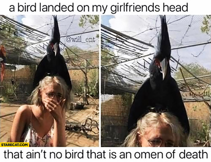 A bird landed on my girlfriends head, that ain’t no bird that is an omen of death