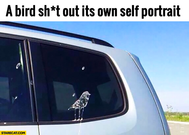 A bird shit out it’s own self portrait