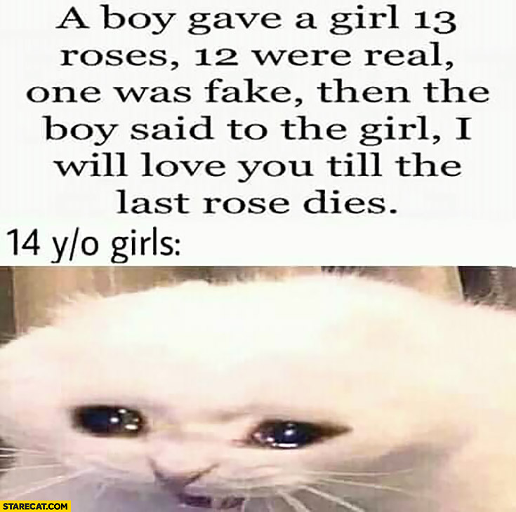 A boy gave a girl 13 roses 12 were real one was fake then the boy said to the girl I will love you till the last rose dies 14 year old girls crying cat
