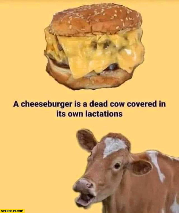A cheeseburger is a dead cow covered in it’s own lactations