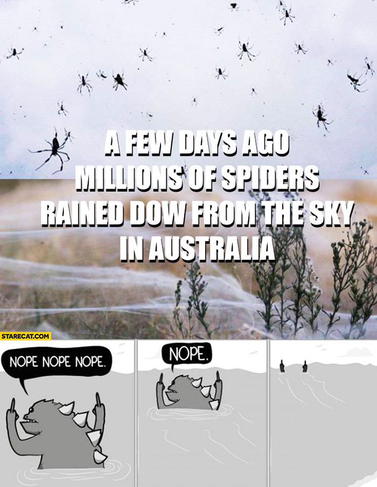 A few days ago millions of spiders rained down from the sky in Australia nope nope nope