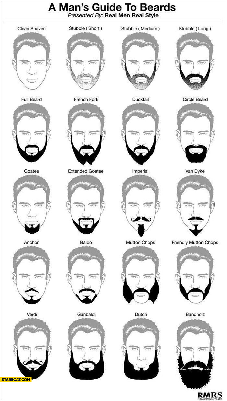 A mans guide to beards