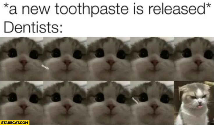 A new toothpaste is released: 9 out of 10 dentists recommend it cat