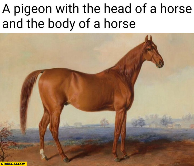 A pigeon with the head of a horse and the body of a horse