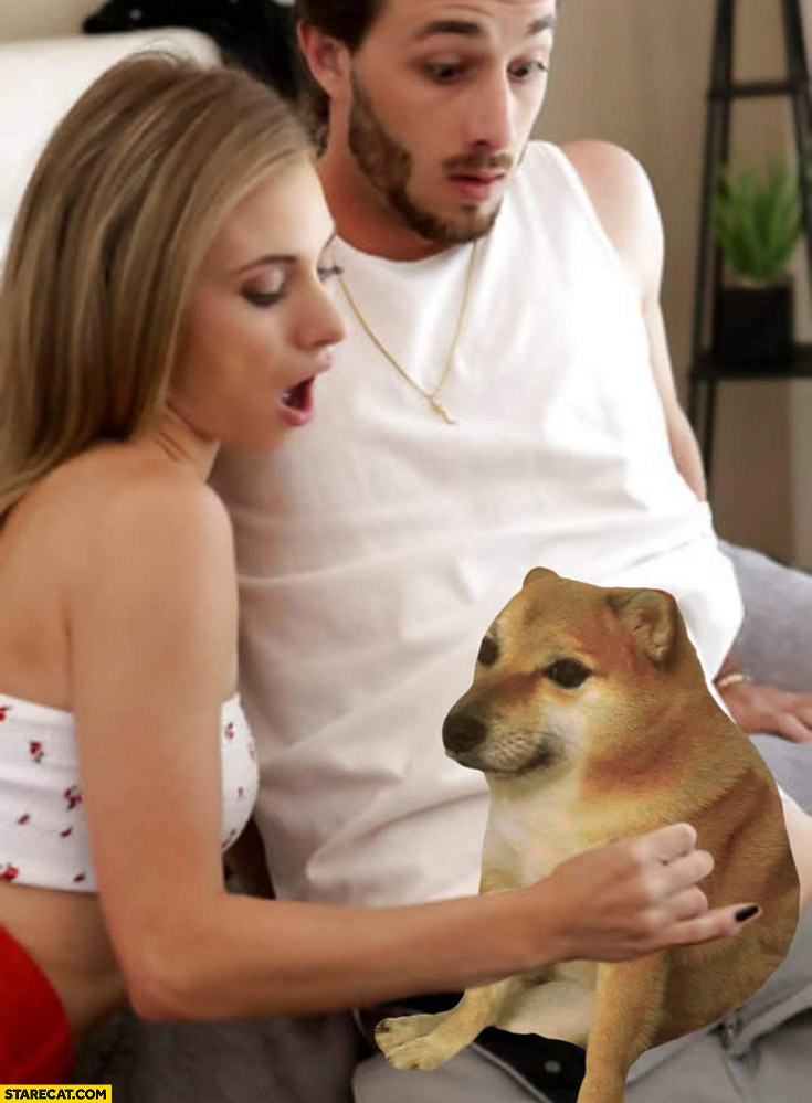 Adult movie scene dog doge photoshopped