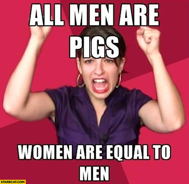 All men are pigs women are equal to men feminist meme