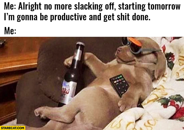Alright no more slacking off, starting tomorrow I’m gonna be productive and get shit done lazy dog
