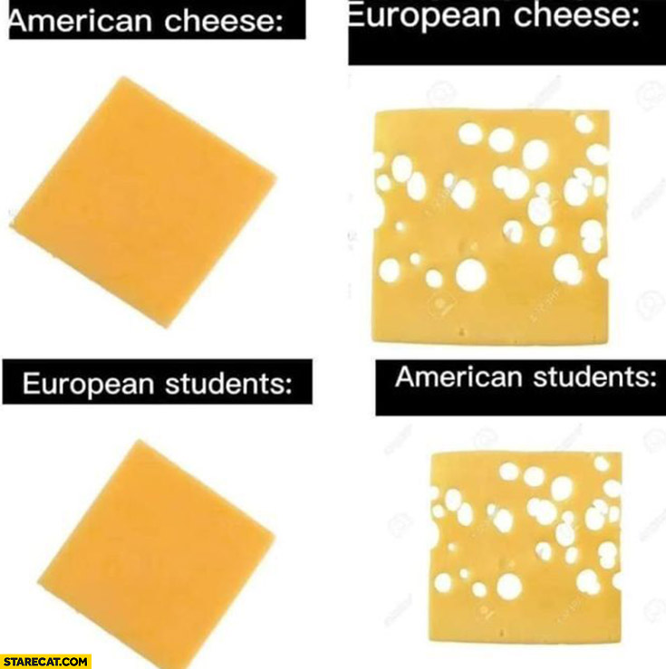 American European cheese students comparison holes