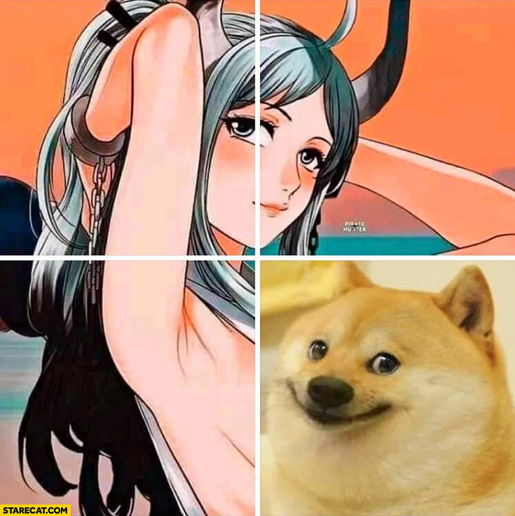 Anime hentai doge covering part of the picture