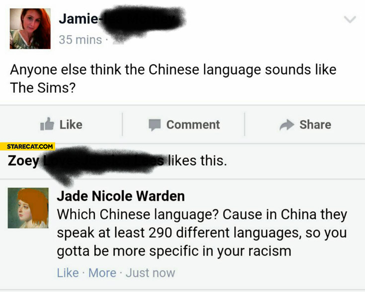 Anyone else thinks the chinese language sounds like the Sims which chinese language cause in China they speak at least 290 different languages