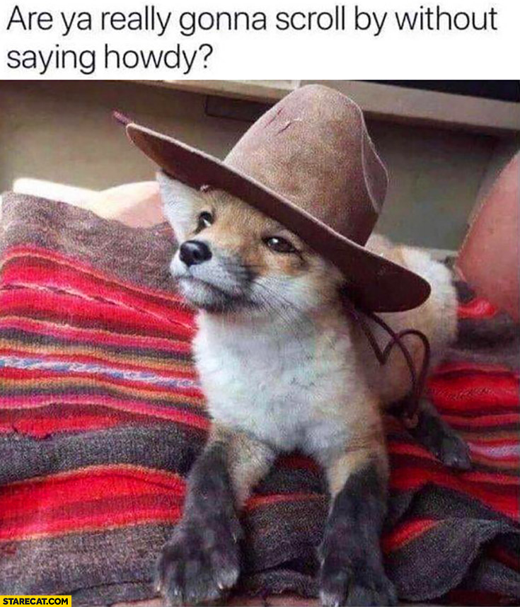 Are ya really gonna scroll by without saying howdy? Cute fox in a hat