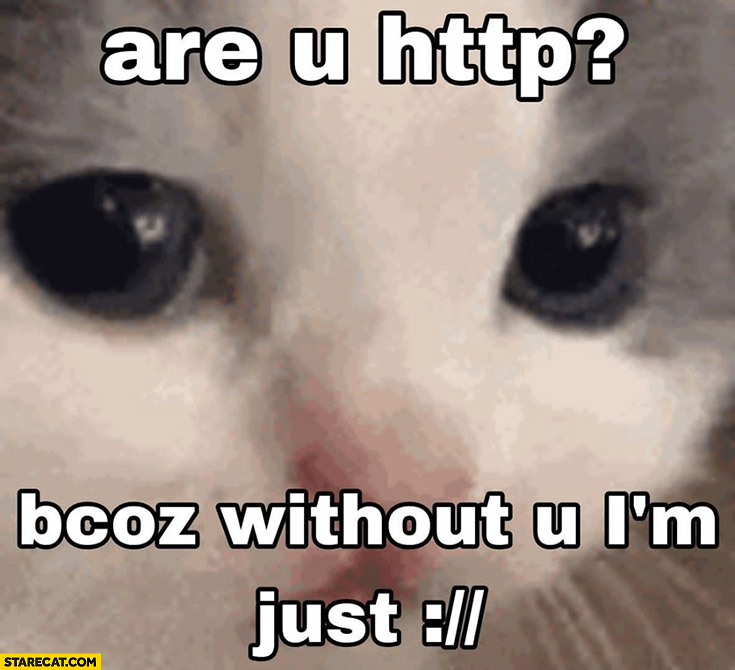 Are you http because without you I’m just sad face emoji cat