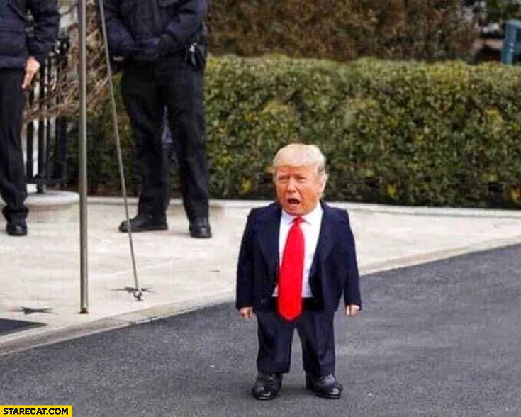 Baby Donald Trump small kid photoshopped