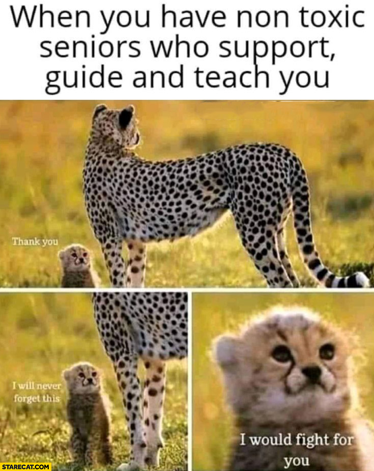 Baby leopard when you have non-toxic seniors who support guide and teach you