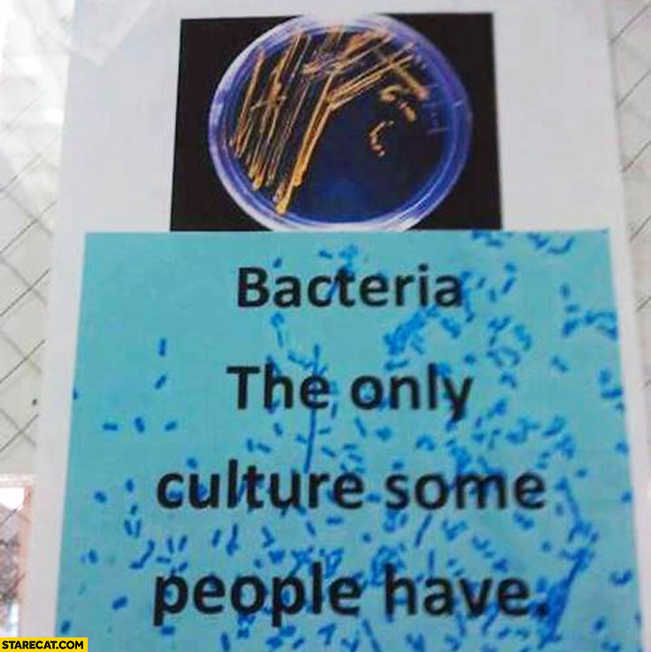 Bacteria is the only culture some people have