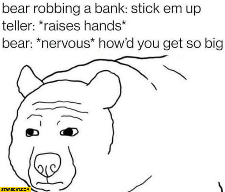 Bear robbing a bank stick em up teller raises hands bear nervous howd you get so big