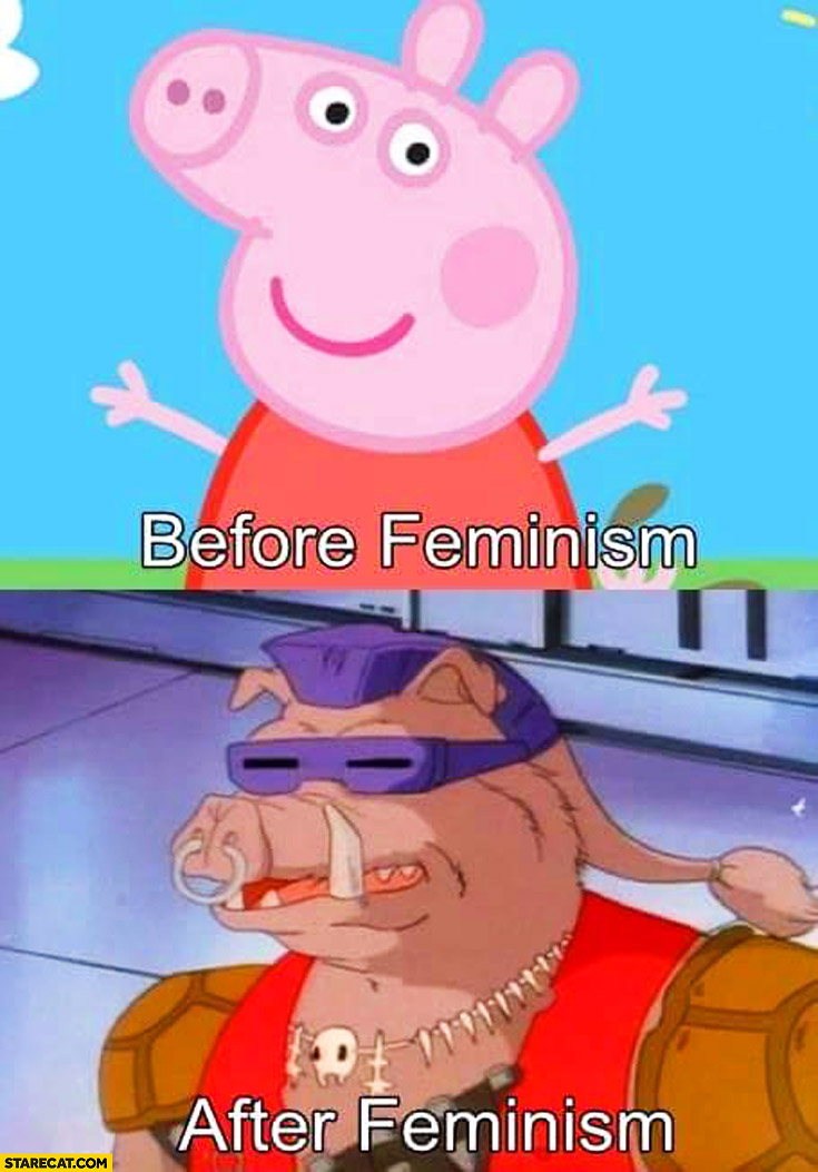 Before feminism happy smiling pig after feminism comparison fail