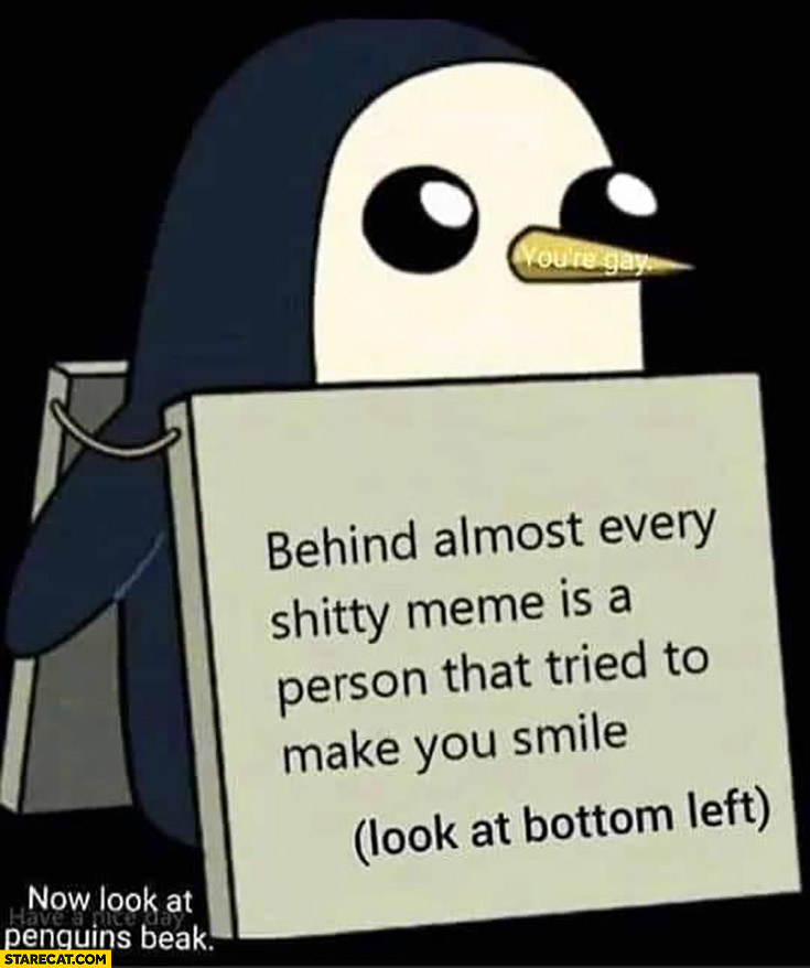Behind almost every meme is a person that tried to make you smile look at bottom left penguin
