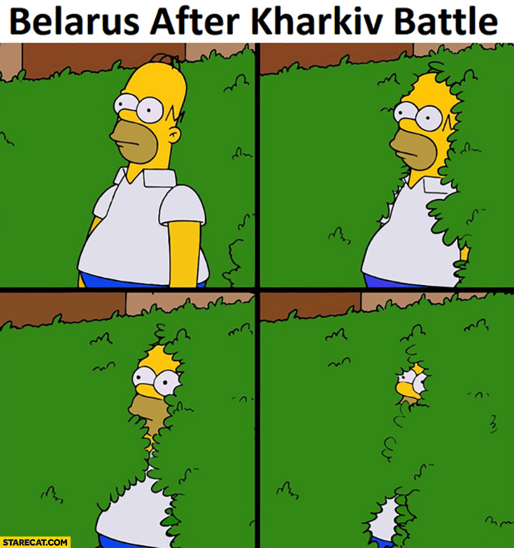 Belarus after Kharkiv battle hiding the Simpsons Homer Simpson