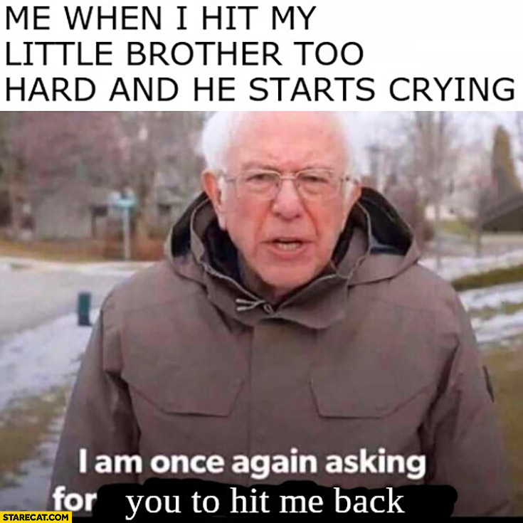 Bernie Sanders me when I hit my little brother too hard and he starts crying: I am once again asking you to hit me back