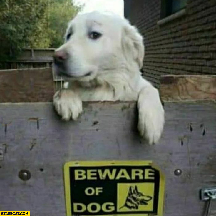 Beware of dog sign white cute puppy