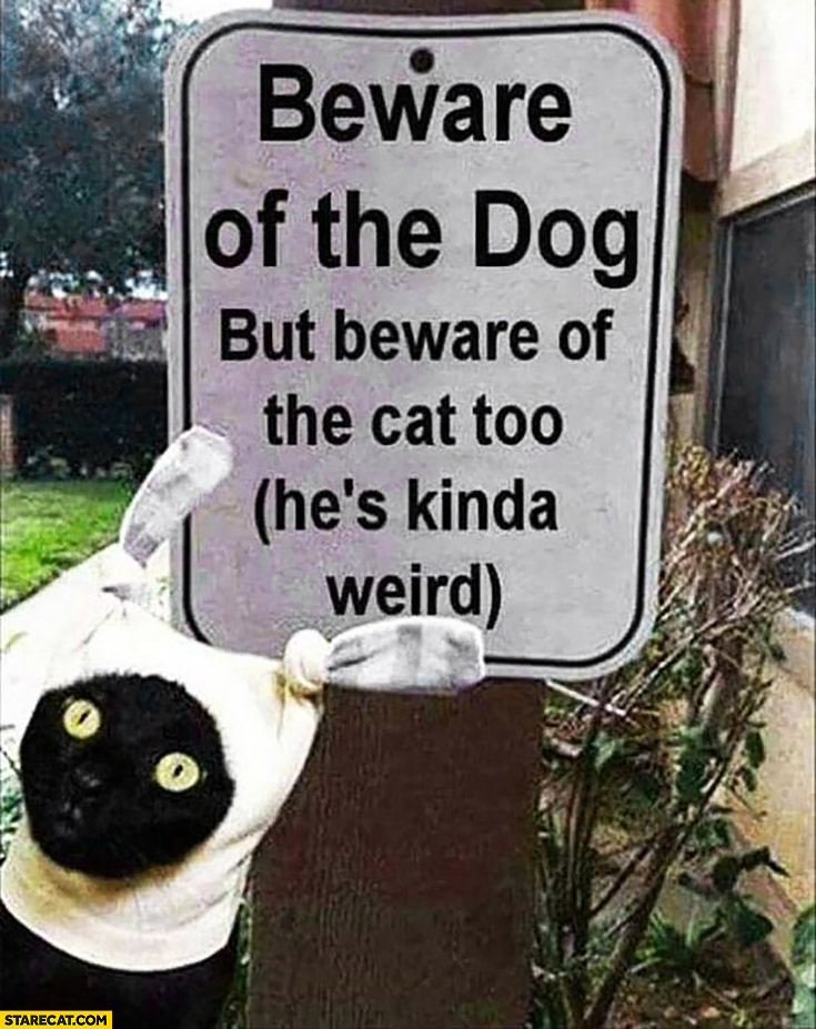 Beware of the dog,but beware of the cat too (he’s kinda weird)