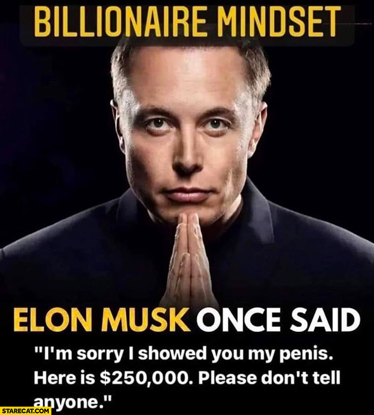 Billionaire mindset  Elon Musk once said: I’m sorry I showed you my genitals heres 250 k please don’t tell anyone