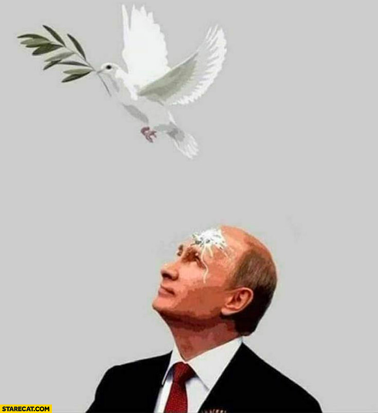 Bird pigeon shitting on Vladimir Putin face