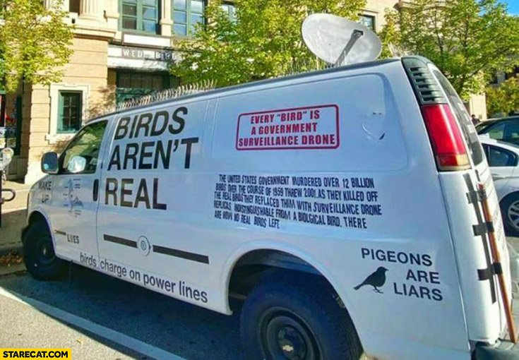 Birds aren’t real conspiracy theory van