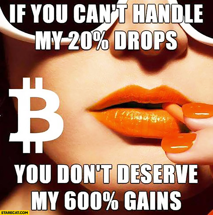 Bitcoin: if you cant handle my 20% percent drops you don’t deserve my 600% percent gains